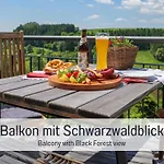 公寓 Zum Alten Spital | Sauna | Wellnessbreich | Aufzug